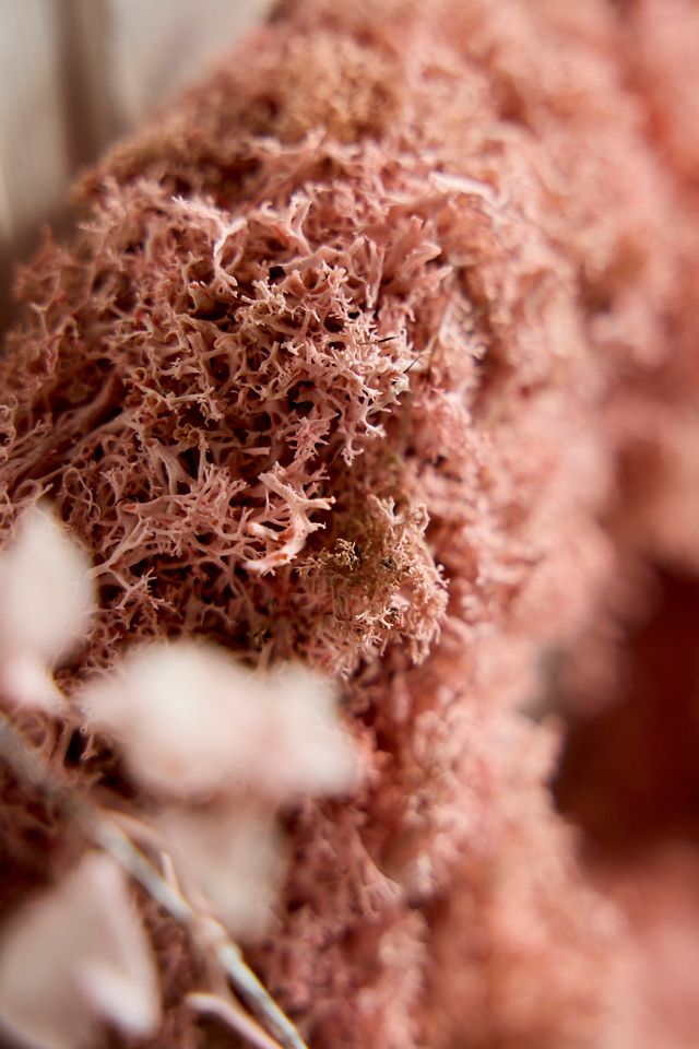 Preserved Reindeer Moss Heart Wreath, Pink #1