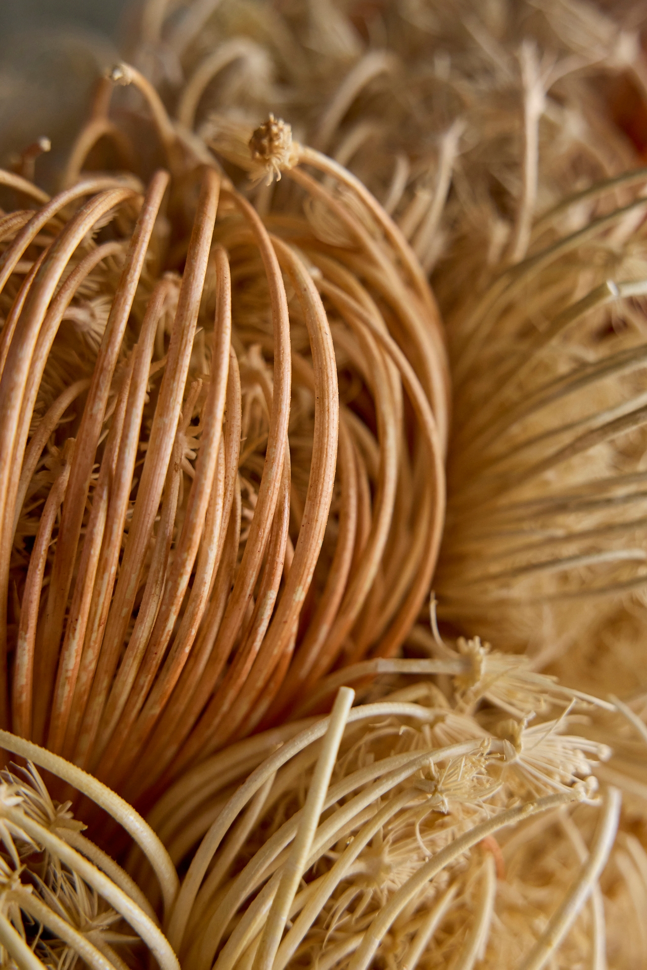 Dried Dill Flower Wreath