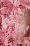 Dried Pink Lunaria Wreath #3