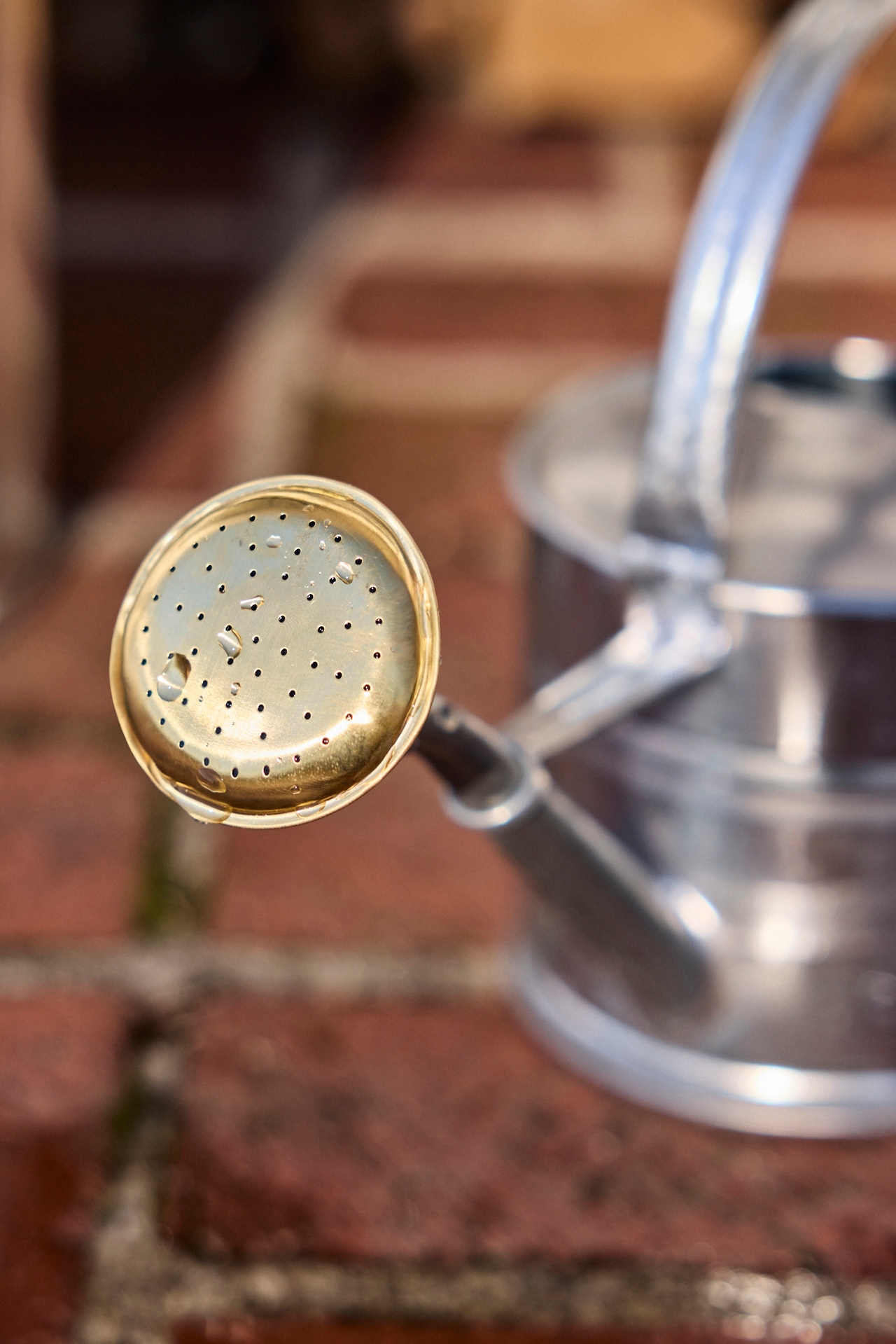 Galvanized Steel Watering Can