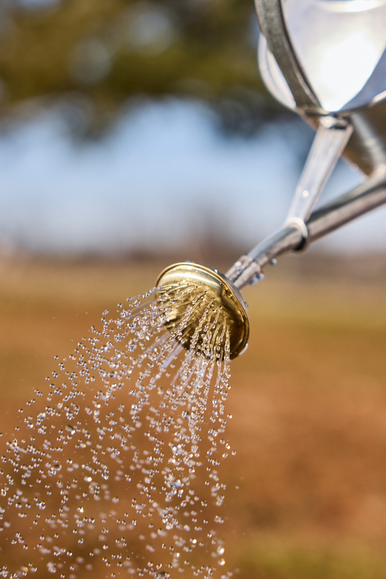 Galvanized Steel Watering Can