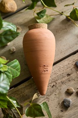 Terracotta Watering Olla | AnthroLiving