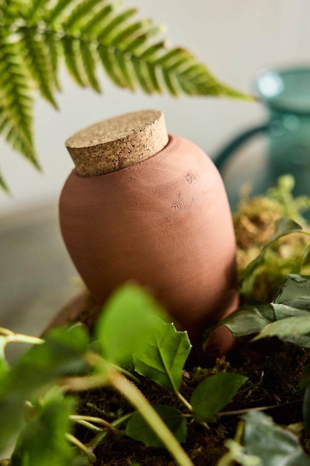 Terracotta Watering Olla #1