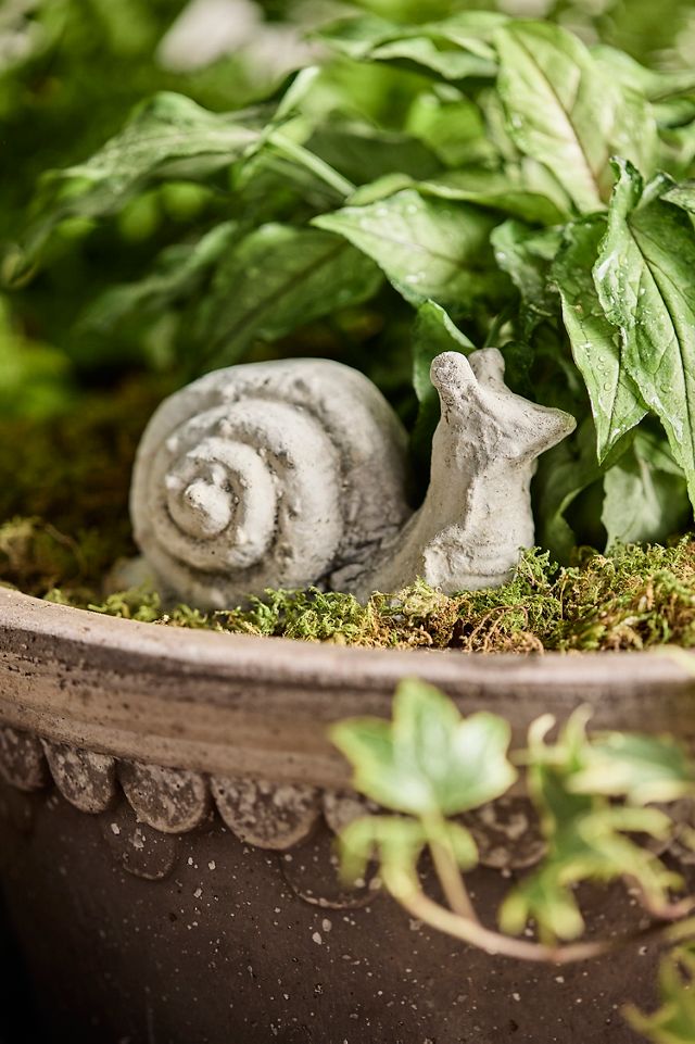 Concrete Snail | AnthroLiving