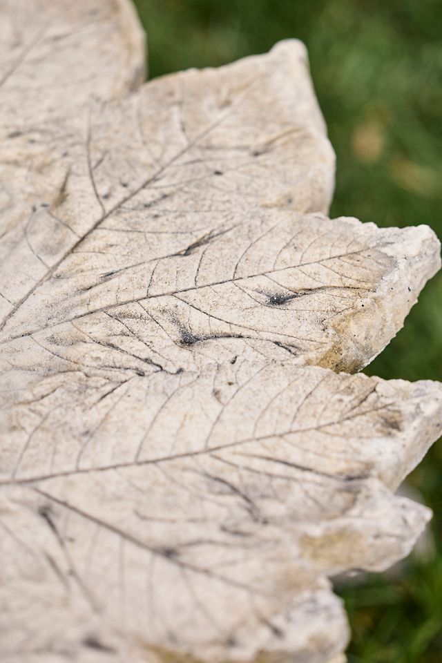 Faux Bois Concrete Bird Bath #1