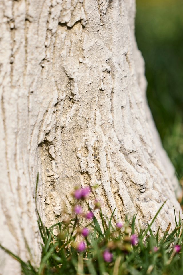 Faux Bois Concrete Bird Bath #3