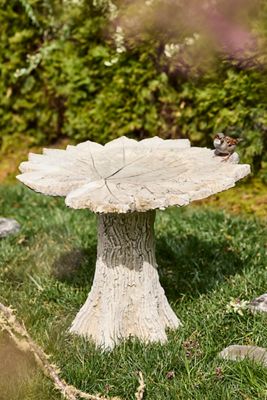 Faux Bois Concrete Bird Bath