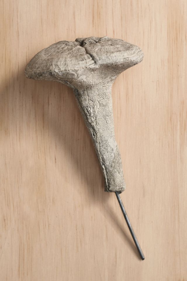 Concrete Shiitake Mushroom Pick #1