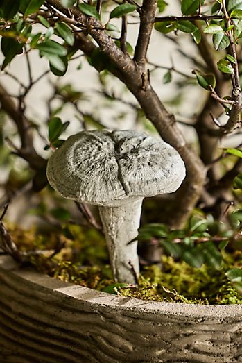 Concrete Shiitake Mushroom Pick