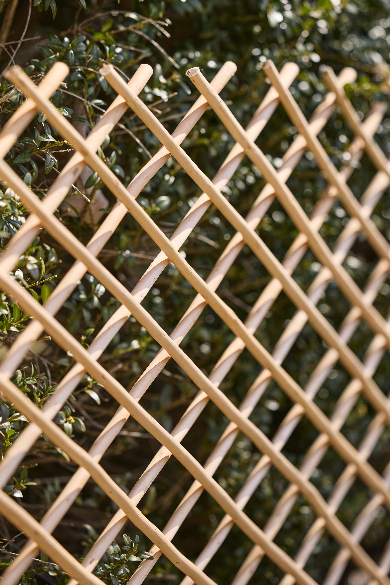 Expandable Woven Willow Lattice Fencing