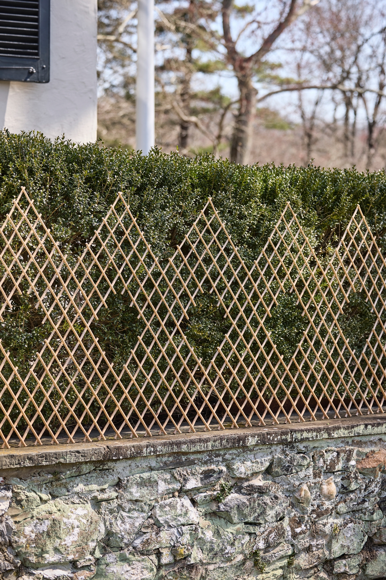 Expandable Woven Willow Diamond Fencing