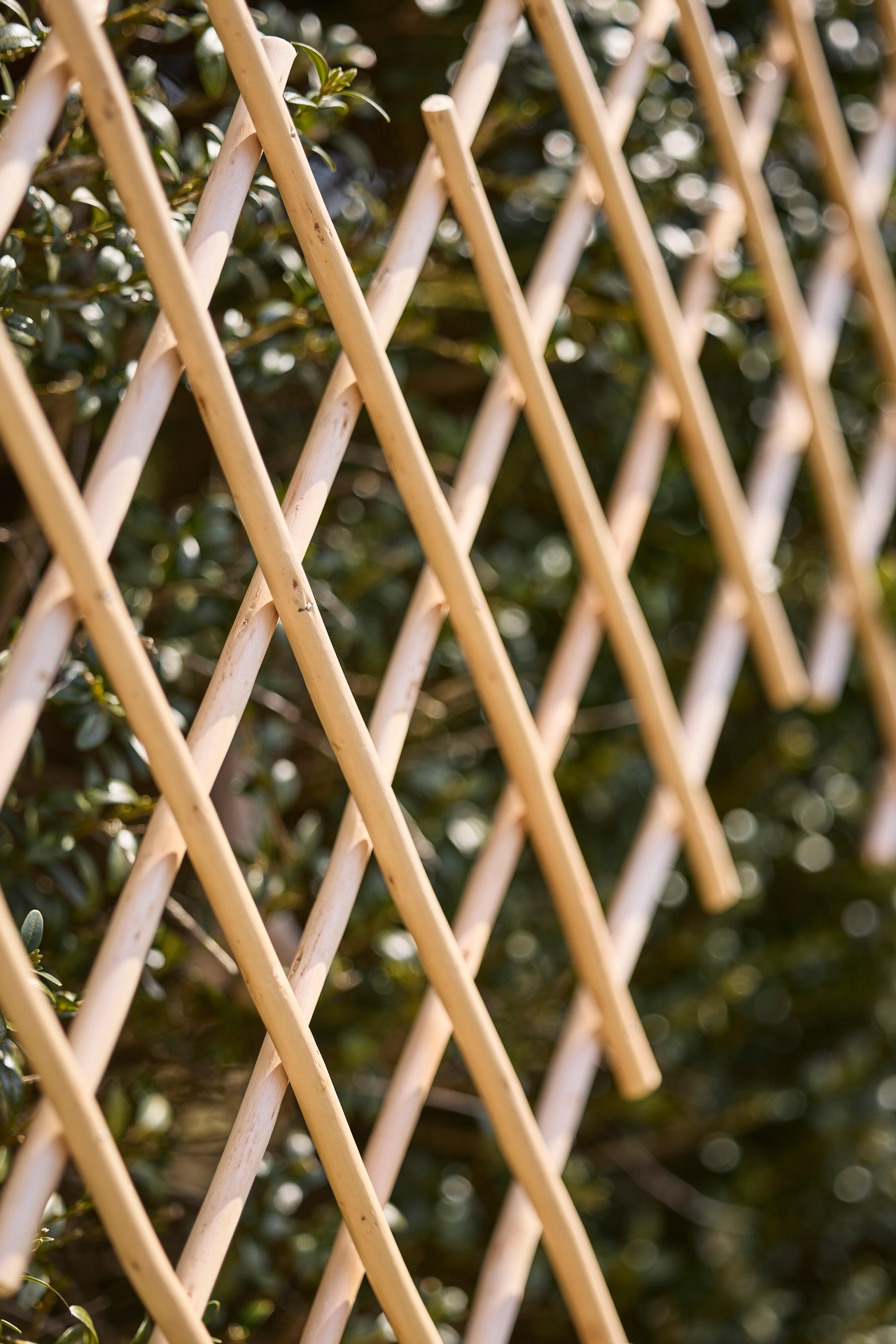 Expandable Woven Willow Diamond Fencing