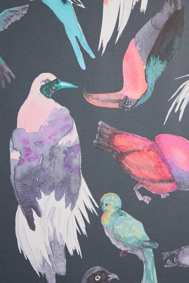Paradise Birds Animal Wallpaper #1