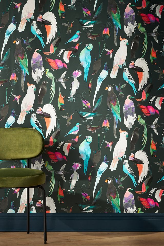 Paradise Birds Animal Wallpaper #2