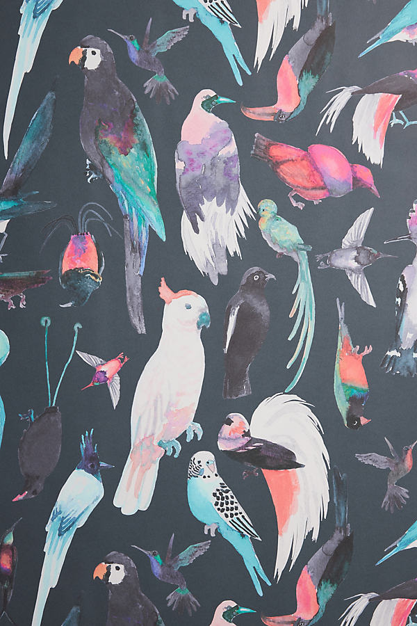 Aimee Wilder Paradise Birds Wallpaper In Black