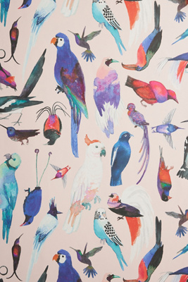 Aimee Wilder Paradise Birds Wallpaper