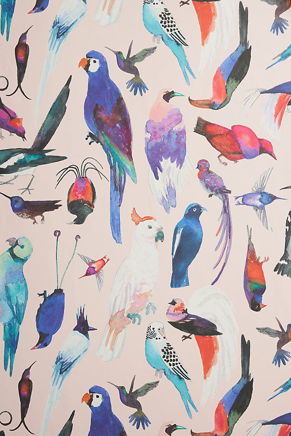 Aimee Wilder Paradise Birds Wallpaper In Pink
