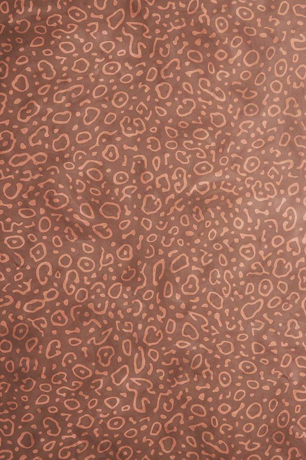 Aimee Wilder Sea Ray Wallpaper In Brown