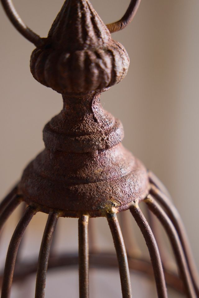 Round Birdcage Cloche, Large #1