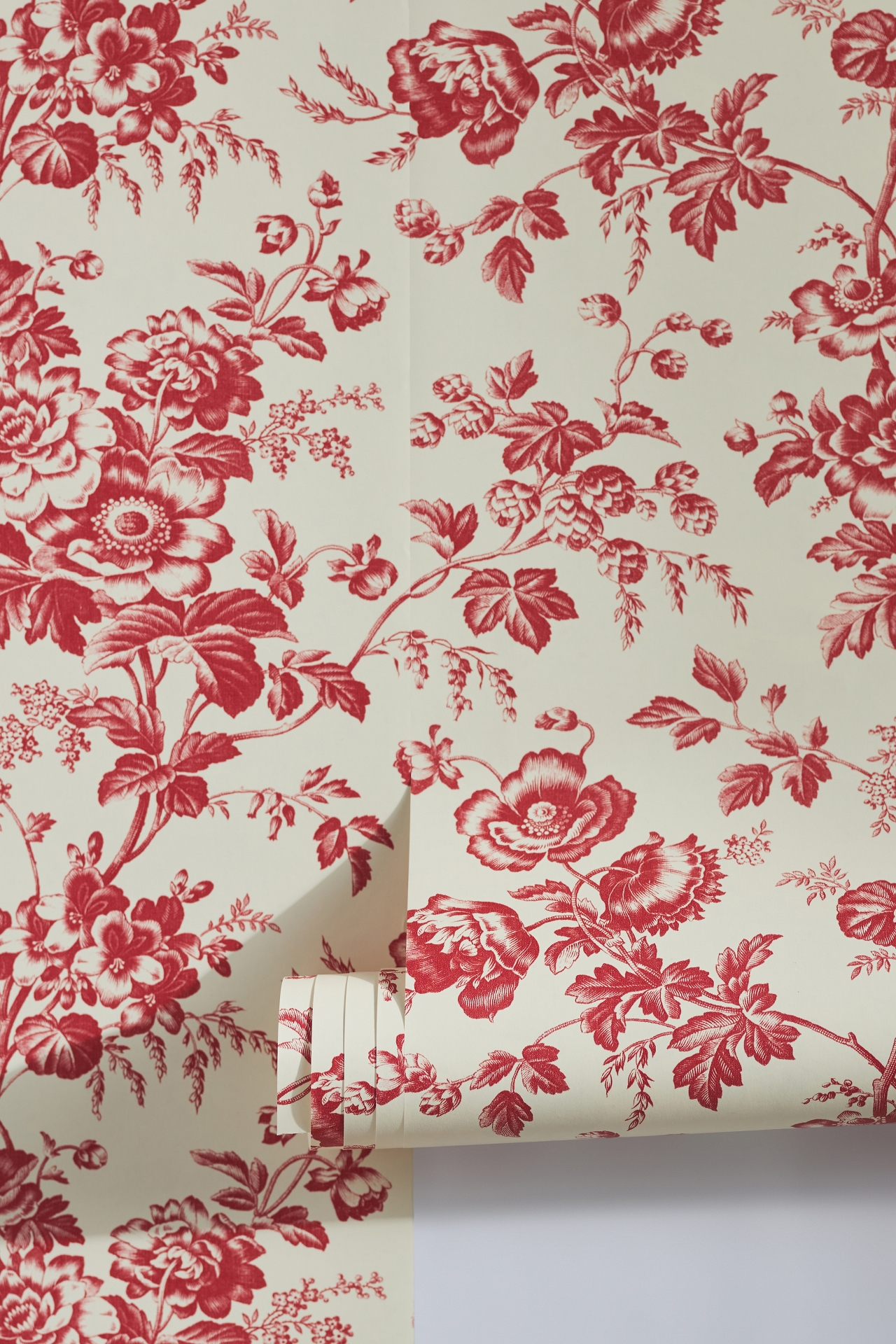 Anemone Toile Wallpaper