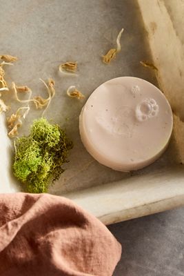 Loofah Bar, Lotus Moss