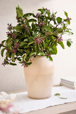 Buried Glass Vase