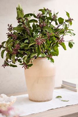 Buried Glass Vase
