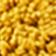 Maize