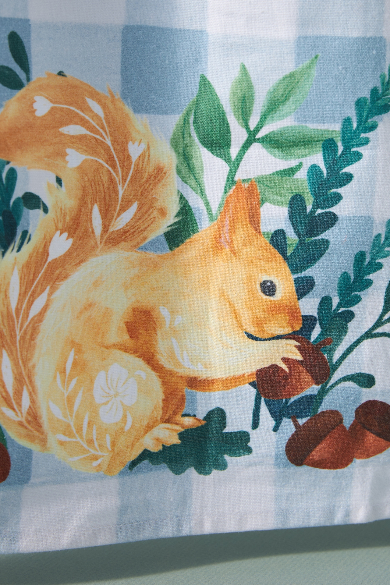 Squirrel Dish Towel