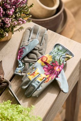 RHS Asteraceae Garden Gloves