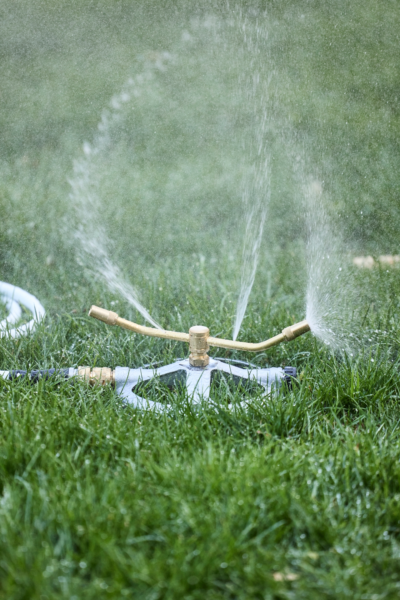 Brass Whirl Sprinkler