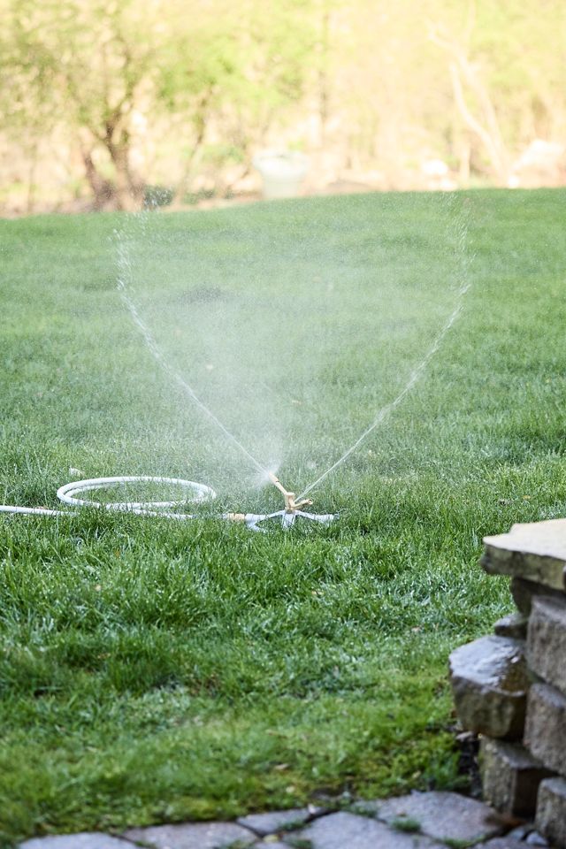 Brass Whirl Sprinkler #5