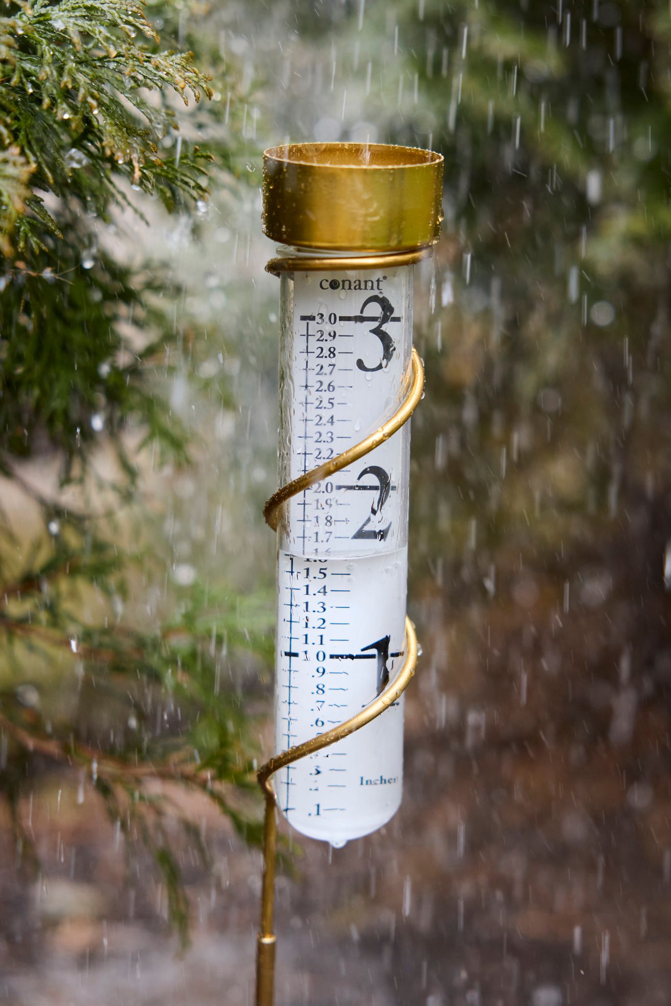 Brass Rain Gauge - Gold, ONE SIZE