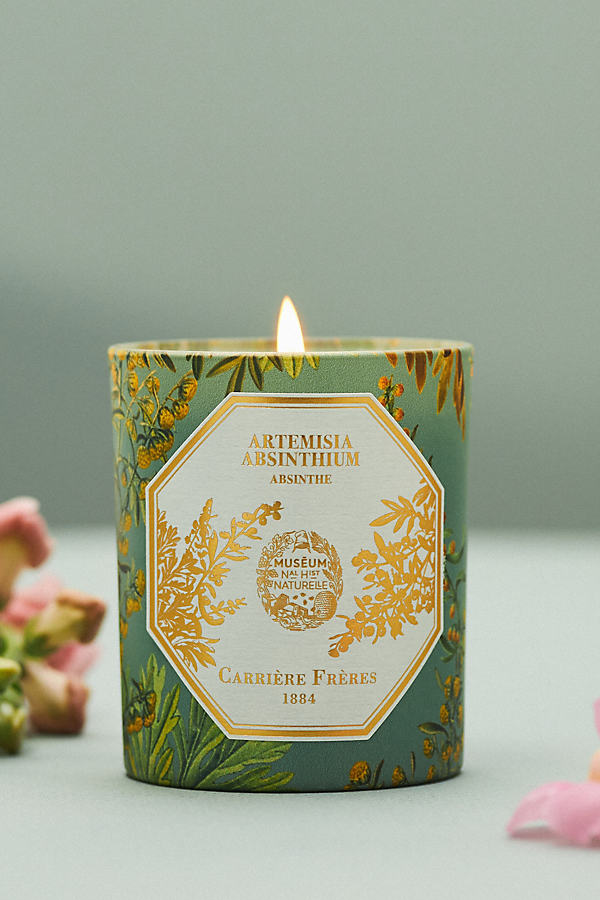 Carriere Freres Artemisia Absinthium Boxed Candle In Green