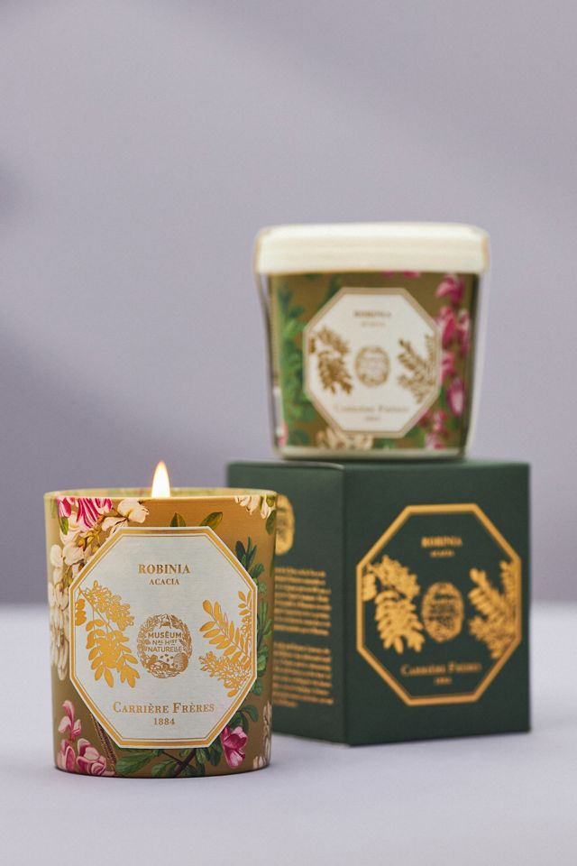 Carrière Frères Robinia Acacia Boxed Candle | AnthroHome