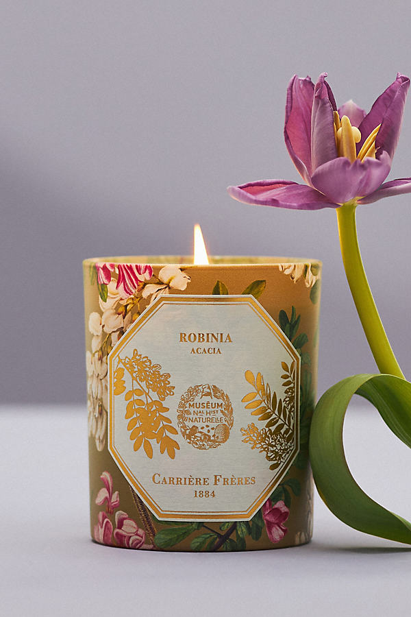 Carriere Freres Robinia Acacia Boxed Candle In Pattern