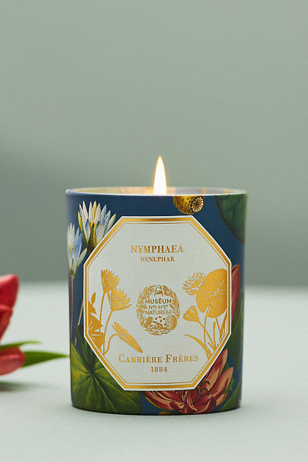 Carriere Freres Nymphea Waterlily Boxed Candle In Multi