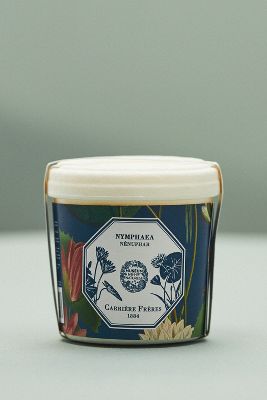 Carriere Freres Robinia Acacia Candle Refill In Multi