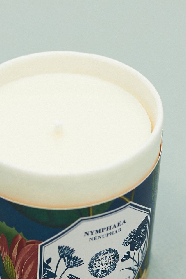 Carrière Frères Nymphea Waterlily Candle Refill #1
