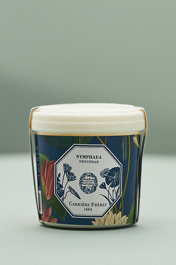 Carriere Freres Robinia Acacia Candle Refill In Multi