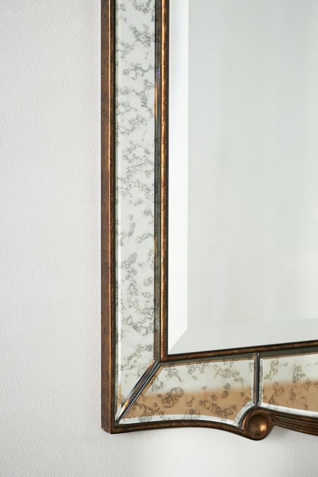 Oleander Mirror #1