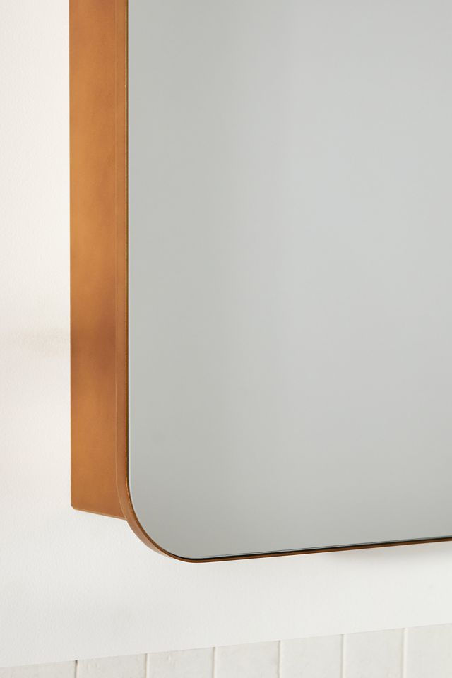 Hadley Mirrored Medicine Cabinet #3