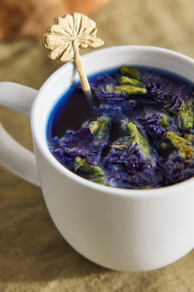 The Qi Butterfly Pea Flower Tea | Terrain