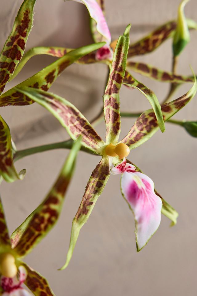 Faux Orchid Spray #1