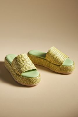 Matisse | Anthropologie