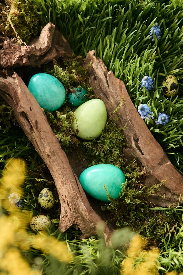 Chocolate Egg Carton #3
