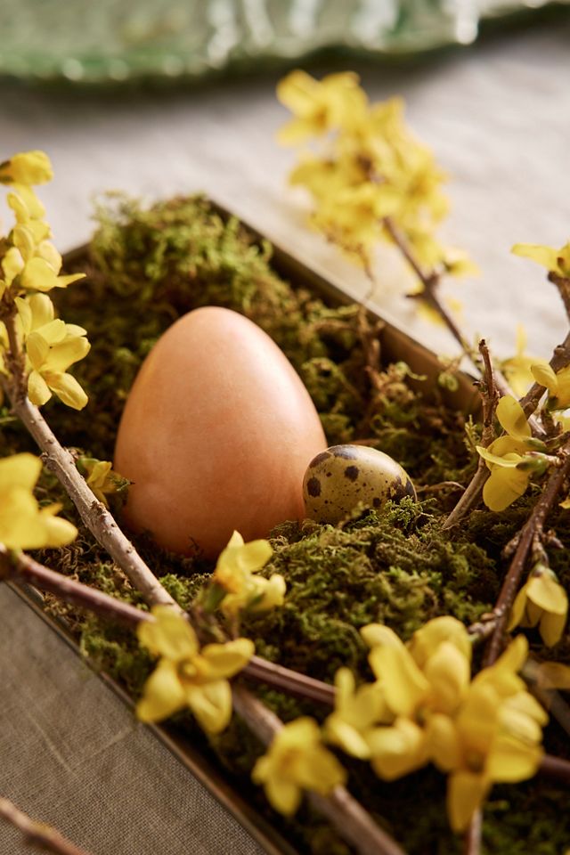Chocolate Egg Carton #4
