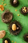 Chocolate Chick Nest #3