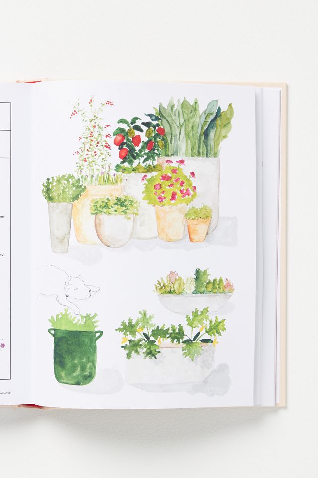 The Kitchen Garden: Sowing, Growing, and Cooking for the Garden Enthusiast #2