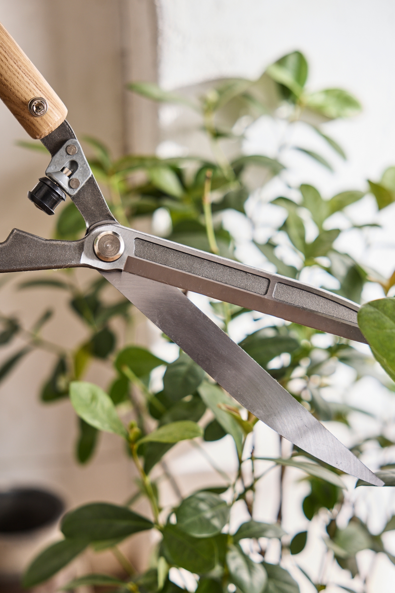 Sophie Conran for Burgon & Ball Garden Shears